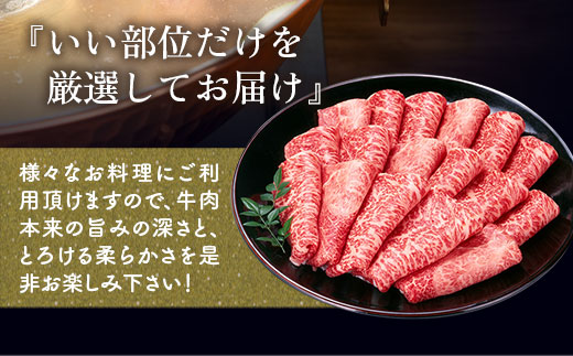 訳あり！【A4〜A5】博多和牛赤身霜降りしゃぶしゃぶすき焼き用（肩・モモ）600g DX051