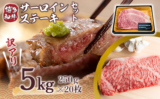 訳アリ！博多和牛サーロインステーキセット 5kg（250g×20枚）　DX034