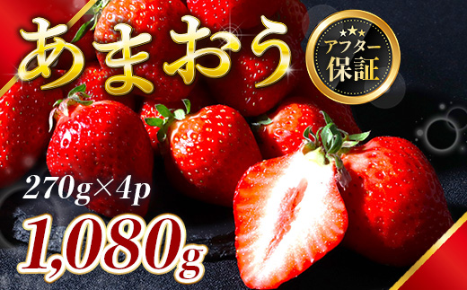 福岡県産 あまおう 1080g 送料無料 いちご 果物 フルーツ ギフト 季節限定 スイーツ ケーキ ブランド 先行予約 2025年1月以降より順次発送 TY052-2