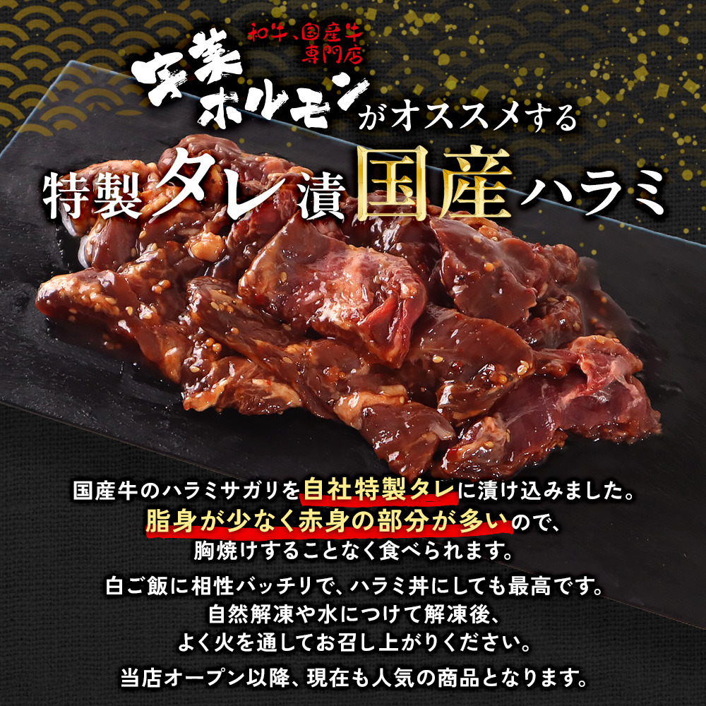 国産 特製たれ漬 牛ハラミ サガリ 250g JX003-1