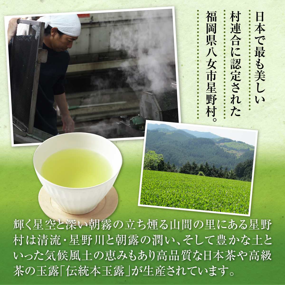 【定期便】奥八女星野村 深蒸し高級煎茶(深蒸し茶)1袋[100g] 6回コース UX018