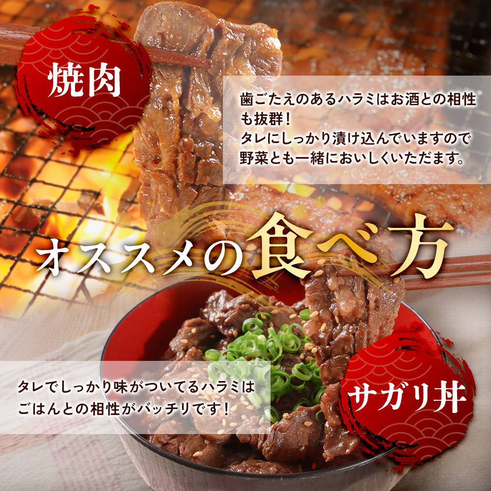 国産 特製たれ漬 牛ハラミ サガリ 250g JX003-1