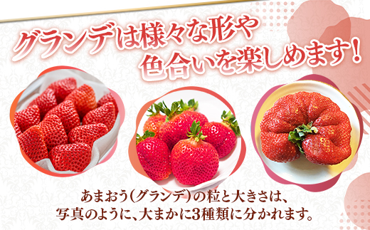 福岡県産 あまおう 1500g 送料無料 いちご 果物 フルーツ ギフト 季節限定 スイーツ ケーキ ブランド 先行予約 2025年2月より順次発送 TY052-3