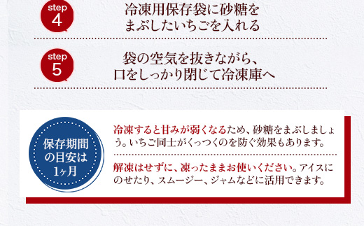 福岡県産 あまおう 1080g 送料無料 いちご 果物 フルーツ ギフト 季節限定 スイーツ ケーキ ブランド 先行予約 2025年1月以降より順次発送 TY052-2