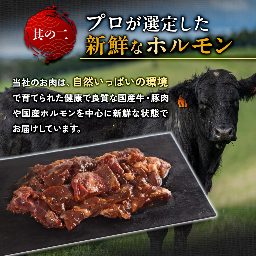 国産 特製たれ漬 牛ハラミ サガリ 250g JX003-1