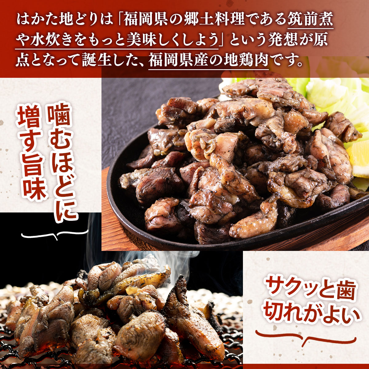 はかた地どり炭火焼セット500ｇ（100ｇ×5ｐ）	DX041