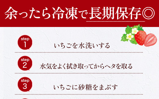 福岡県産 あまおう 1000g 送料無料 いちご 果物 フルーツ ギフト 季節限定 スイーツ ケーキ ブランド 先行予約 2025年1月より順次発送 TY051-2