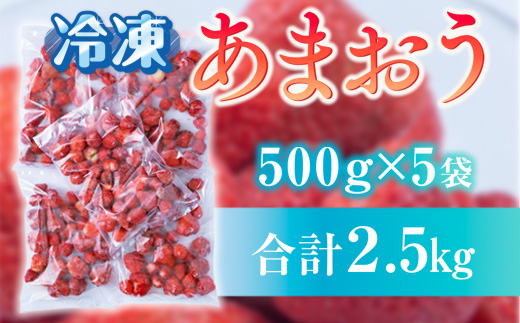 福岡産冷凍あまおう500ｇｘ5袋　AX014