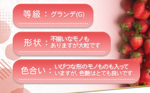 福岡県産 あまおう 540g 送料無料 いちご 果物 フルーツ ギフト 季節限定 スイーツ ケーキ ブランド 先行予約 2024年12月より順次発送 TY050-1