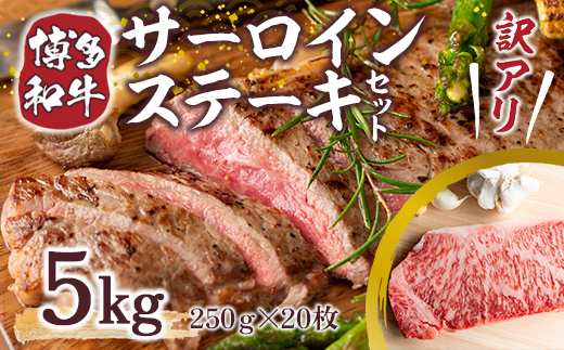 訳アリ！博多和牛サーロインステーキセット 5kg（250g×20枚）　DX034