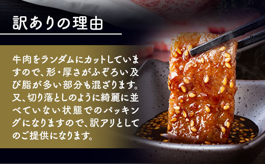 訳あり！【A4〜A5】博多和牛焼肉切り落とし(肩ロース・バラ）　1ｋｇ（500ｇ×2ｐ）	DX040