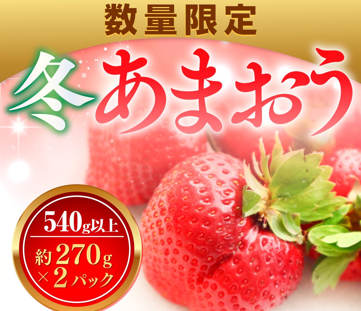 数量限定 冬あまおう２パック 540ｇ以上（270g以上×2）農家直送 アフター保証 イチゴ 苺 いちご 福岡 博多あまおう フルーツ 2024年12月以降順次発送 VZ003