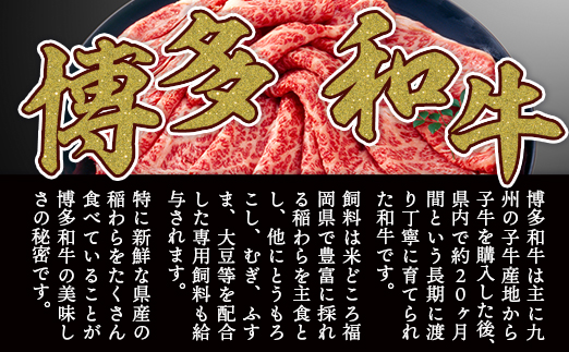 【厳選部位】【A4〜A5】博多和牛サーロインしゃぶしゃぶすき焼き用　600g（300ｇ×2ｐ）	DX044