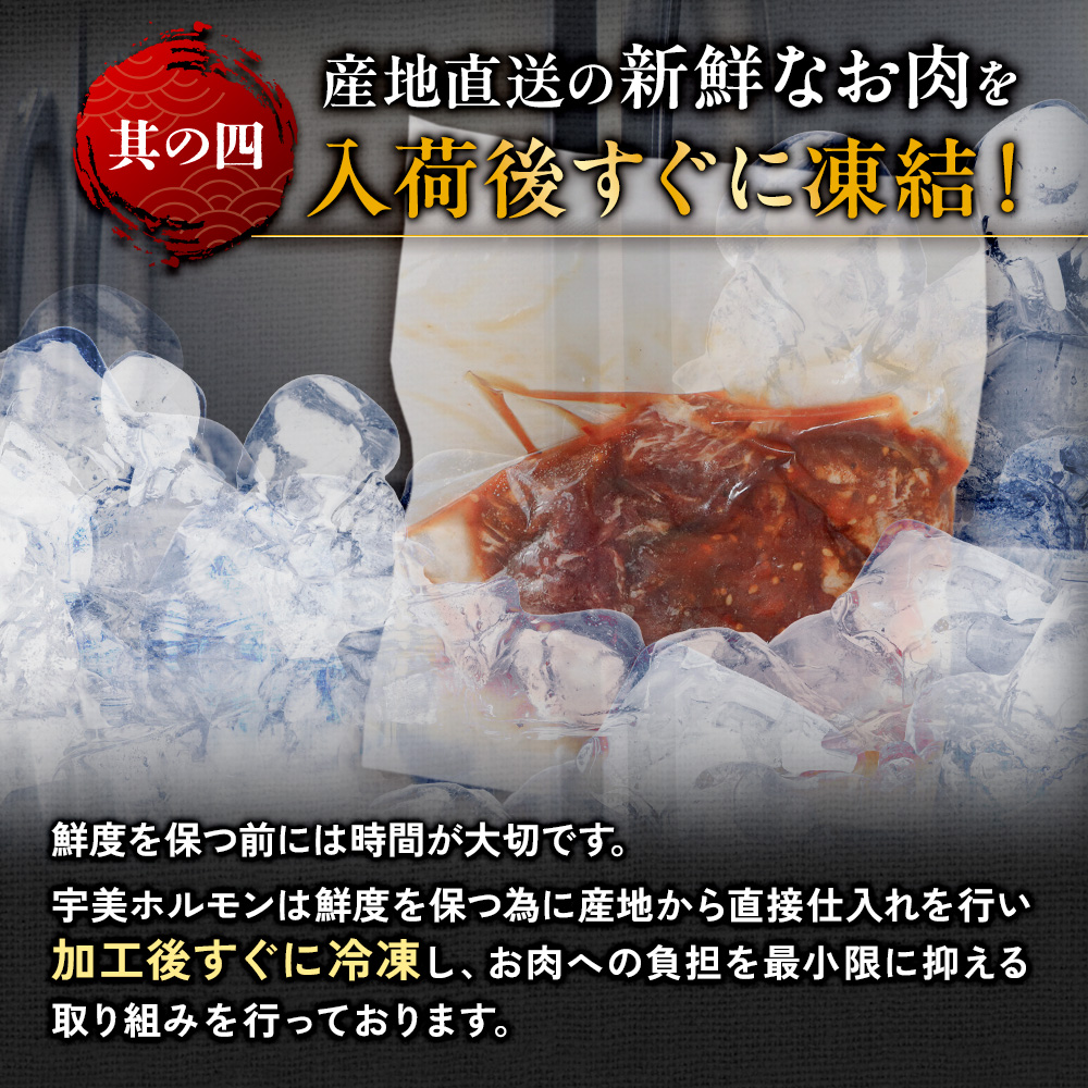 国産 特製たれ漬 牛ハラミ サガリ １kg JX003-4