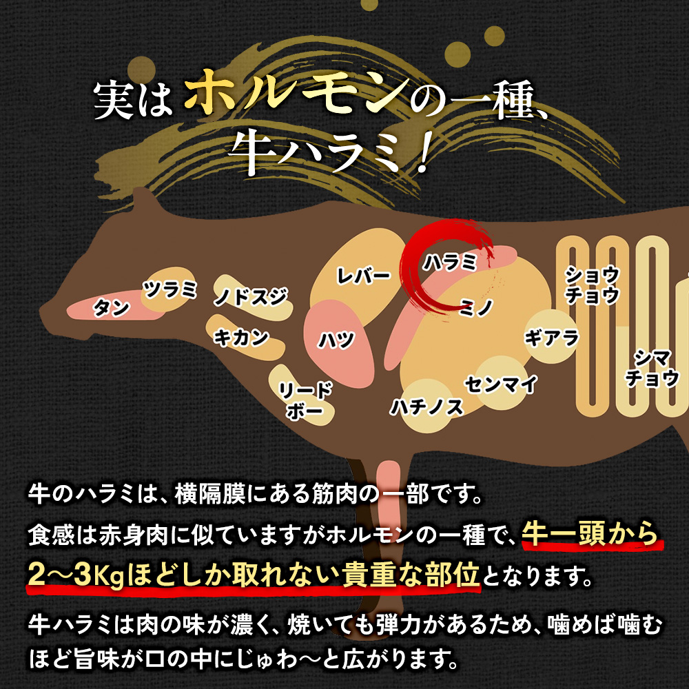 国産 特製たれ漬 牛ハラミ サガリ 1.25kg JX003-5