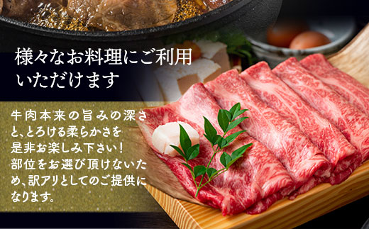 【A4〜A5】博多和牛しゃぶすき焼き用（肩ロース肉・肩バラ・モモ肉）800ｇ（400ｇ×2ｐ）	DX045