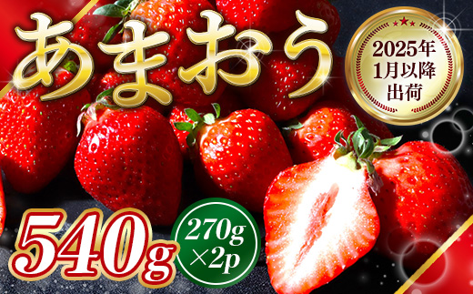 福岡県産 あまおう 540g 送料無料 いちご 果物 フルーツ ギフト 季節限定 スイーツ ケーキ ブランド 先行予約 2025年1月以降より順次発送 TY052-1