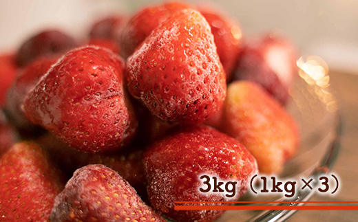 MZ028 冷凍あまおう 3kg（1kg×3）いちご 果物 フルーツ