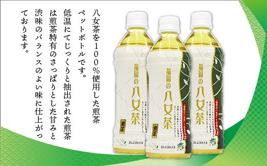 CZ001 福岡の八女茶 煎茶ペットボトル(500ml)×24本 - ふるさとパレット