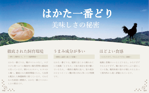 MZ029 福岡県産 はかた一番どり使用（一部国産鶏含む） 焼き鳥バラエティセット70本  焼き鳥 詰め合わせ 鶏 鶏肉 2021年9月上旬より順次発送予定