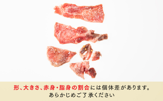 AB321.塩レモン牛タンスライス・焼肉用（約600g）