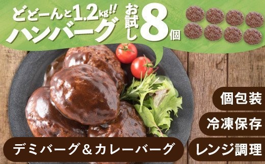 ZG197.累計４０万個突破記念！お試し1.2kg!デミ＆カレーハンバーグセット【150g×8個】