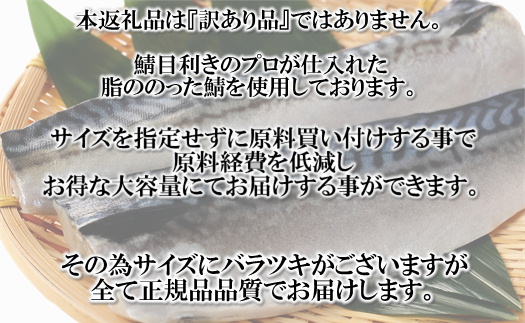 A1424.バラ凍結で便利！塩さば（約2kg）