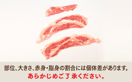 AB341.【訳あり！】博多和牛しゃぶすき用（500g）