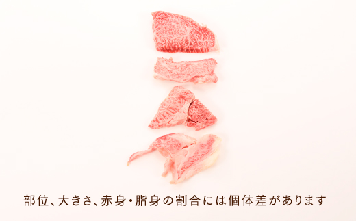 AH044.博多和牛焼肉用（500g）