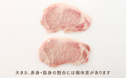 B305.博多和牛サーロインステーキセット（500g）