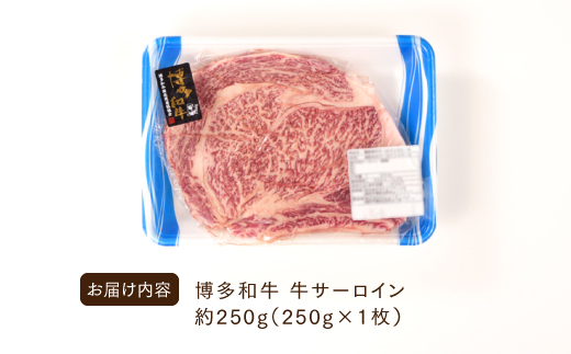 AB343.博多和牛サーロインステーキ（250g）