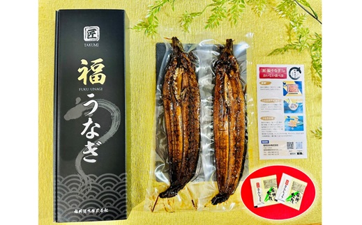 B332.国産うなぎ蒲焼2尾（計400～500g）