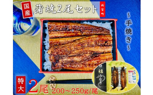 B332.国産うなぎ蒲焼2尾（計400～500g）