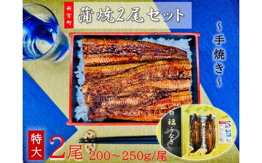 AG094.うなぎ蒲焼2尾（計400～500g）