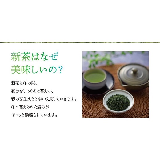 A1503.【新茶】八女星野茶（100g×3本）／2025年5月～7月中旬頃発送【八女茶】