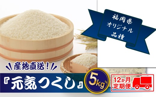 JE007.【全12回定期便】特Ａも獲得した自慢のお米『元気つくし』5kg【元気つくし】