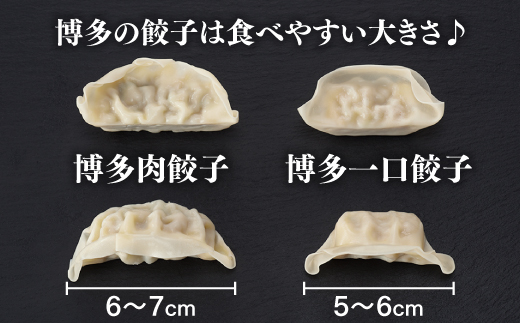 A533.福岡・博多の味『博多一口餃子』８０個＋『博多肉餃子』８０個（計１６０個）