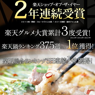 29 博多若杉 もつ鍋4 5人前セット 塩とんこつ味 ふるさとパレット 東急グループのふるさと納税