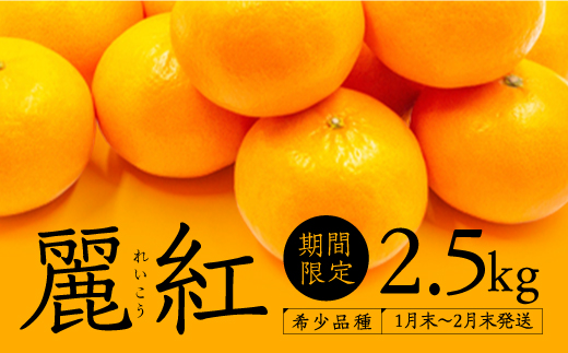 A511 新種の柑橘 麗紅 れいこう 約２ ５キロ 22年1月末 22年2月末発送予定 ふるさとパレット 東急グループのふるさと納税
