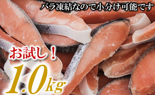 ZH149.バラ凍結で便利！銀鮭切身（約1.0kg）