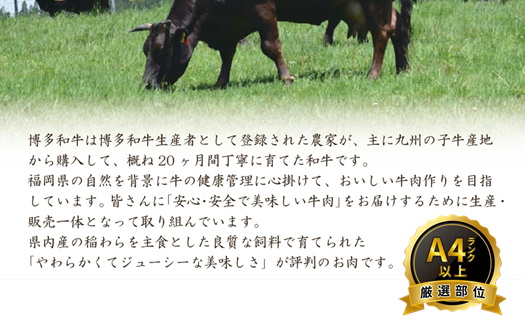 AB338.【訳あり！】博多和牛しゃぶすき（750g）セット