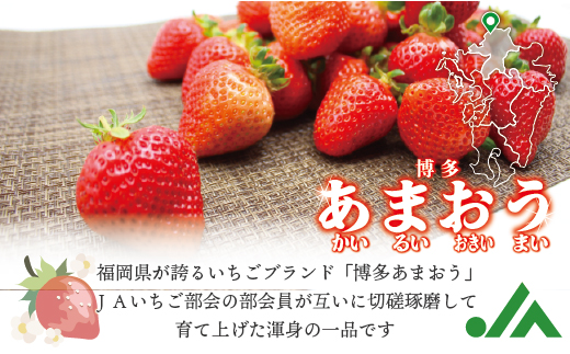 2J10 JAむなかた直送！食べきりサイズ「博多あまおう」約180g×4パック