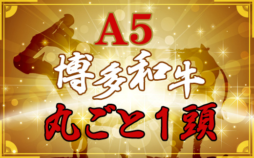 2N2　なんと＜A5等級＞博多和牛まるごと1頭 !!