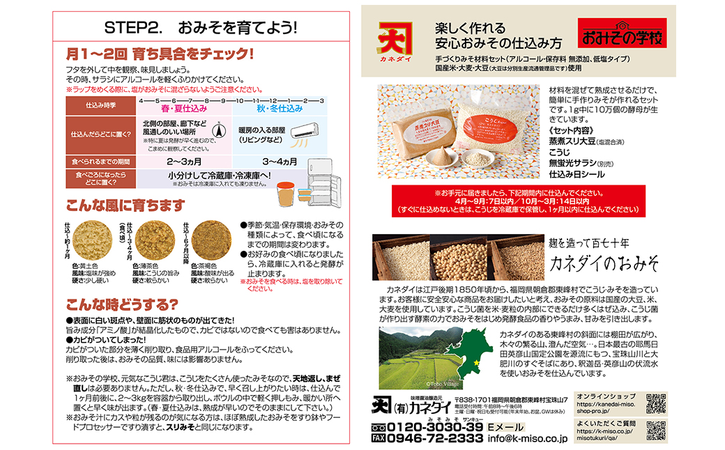 FQ6　小石原焼 味噌甕でつくる「カネダイ」の簡単手作りみそセット【青甕(あおがめ)・米みそ】