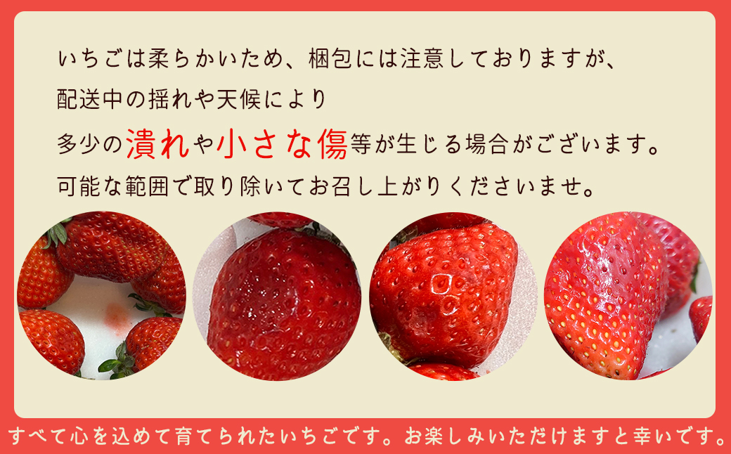 2J10 JAむなかた直送！食べきりサイズ「博多あまおう」約180g×4パック