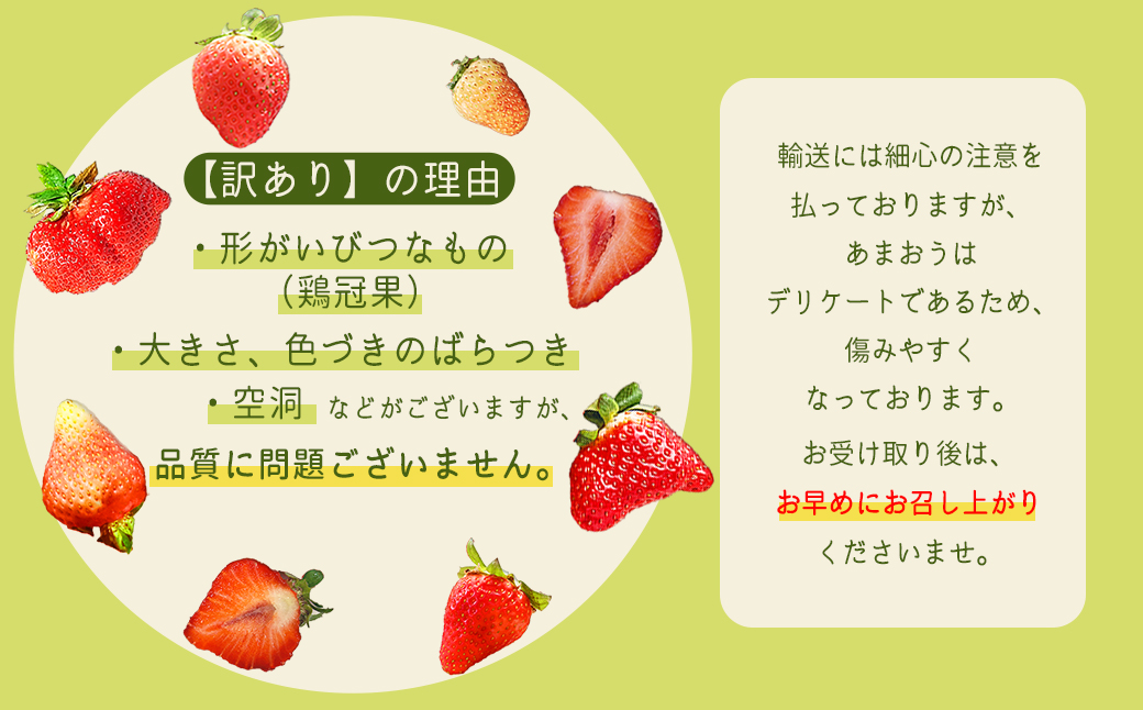 2VB6【福岡県産あまおう】訳あり グランデ　約270ｇ×6Ｐ