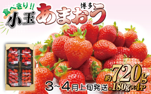 2J10 JAむなかた直送！食べきりサイズ「博多あまおう」約180g×4パック