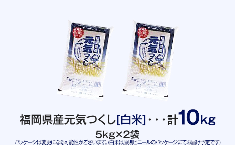 【令和5年産】 福岡県 大木町産 元気つくし 10kg　BC02