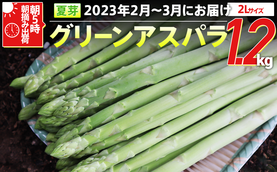 長期熟成！極甘しっとり焼いも/紅はるか2.4kg - ふるさとパレット ～東急グループのふるさと納税～