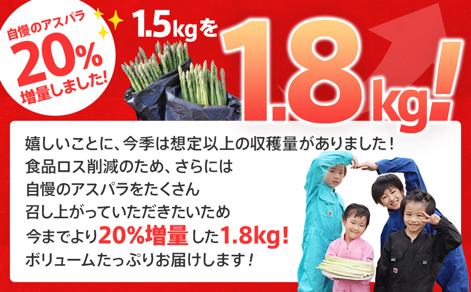 【先行予約】朝採り直送　春芽グリーンアスパラガス（LM混合）1.8kg　BT03